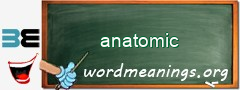 WordMeaning blackboard for anatomic